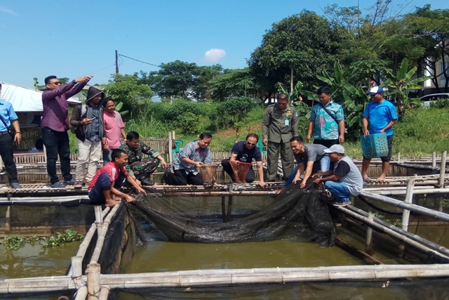 Indah Kiat Tangerang Bantu Warga Sekitar Tingkatkan Kualitas Budidaya Ikan Lele
